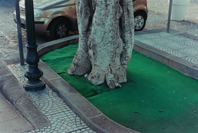 Samuel Laurence Cunnane, Fabric, 2023