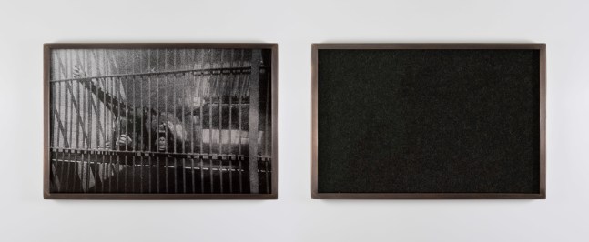 Ailbhe N&amp;iacute; Bhriain&amp;nbsp;
Untitled (cage), 2023
diptych, pigment print on Hahnemühle Photo Rag Metallic, wool, brass frame with museum glass, edition of 3
15.3 x 22.6 x 2.5 cm /&amp;nbsp;6 x 8.9 x 1 in each framed