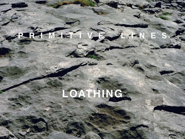 Willie Doherty&amp;nbsp;
Native Disorders I, 1991
c-type photograph with text mounted on masonite, edition of 3
114.3 x 152.4 cm / 45 x 60 in&amp;nbsp;

&amp;nbsp;