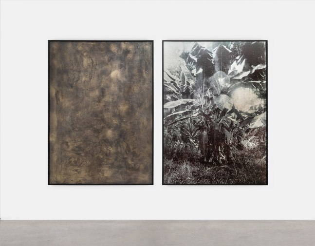 Ailbhe N&amp;iacute; Bhriain&amp;nbsp;

Untitled (plant),&amp;nbsp;2025

diptych, pigment print and brass panel in stained walnut frames, edition of 3 + 2 AP

152.5 x 111 cm / 60 x 43.7 in each framed&amp;nbsp;