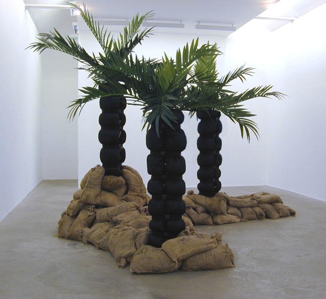 Siobhán Hapaska, Island