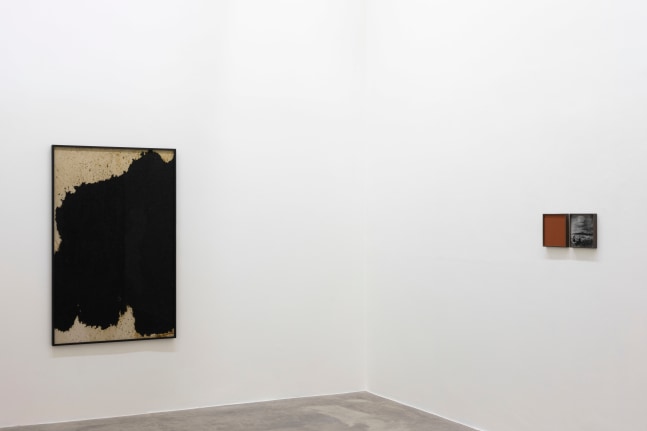 Ailbhe N&iacute; Bhriain