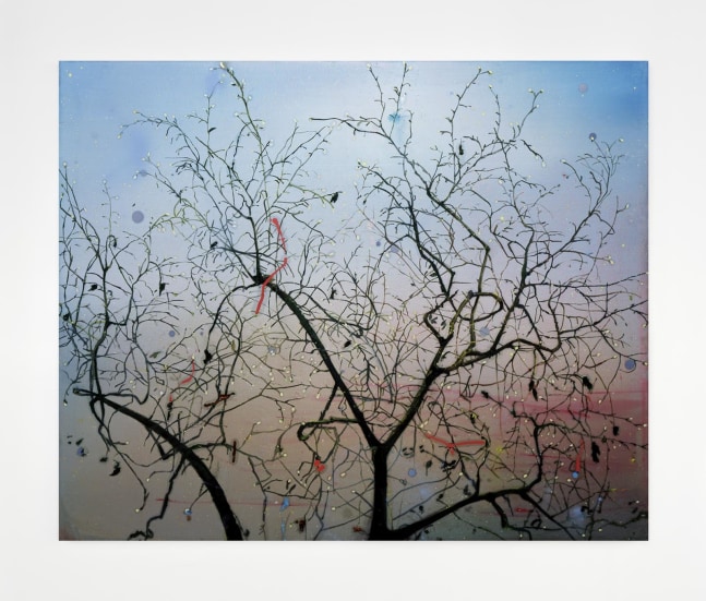 Elizabeth Magill, Arborescence