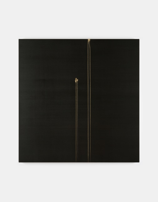 Callum Innes&amp;nbsp;

Two Identified Forms,&amp;nbsp;2025

oil on canvas

160 x 156 cm / 63 x 61.4 in&amp;nbsp; &amp;nbsp;