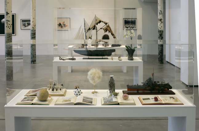 Eoin McHugh
Urpflanze, 2012
TR1 Kunsthalle, Tampere, Finland