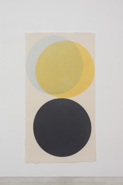 Charcoal Yellow Black, 2014

dye on handmade Echizen kozo washi paper

198 x 108.5 cm / 78 x 42.7 in&amp;nbsp;