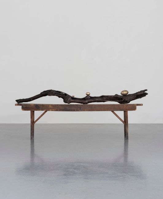 Dorothy Cross
Branch, 2017
cast bronze branch, three polished bronze eggs, antique wooden bench
20 x 203 x 15 cm / 7.9 x 79.9 x 5.9 in sculpture
52 x 183 x 21 cm / 20.5 x 72 x 8.3 in bench