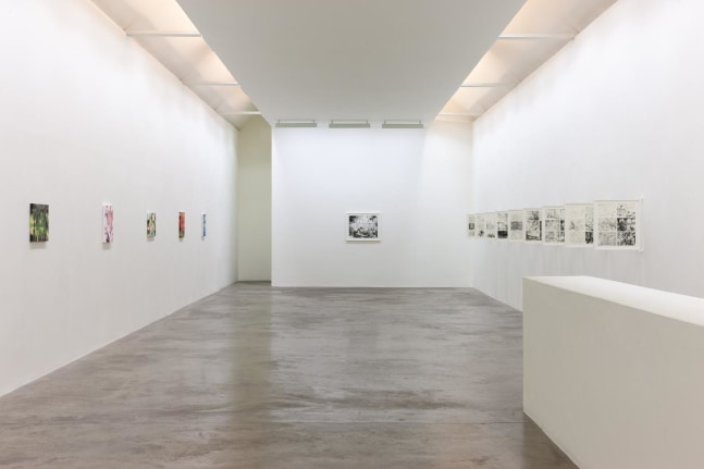 Eoin Mc Hugh,&amp;nbsp;Loje, jelo, laso, Kerlin Gallery, October 2019