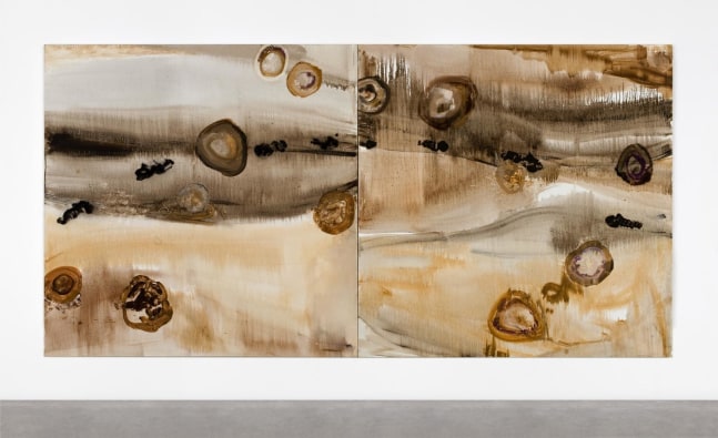 Barrie Cooke, Didymo Diptych