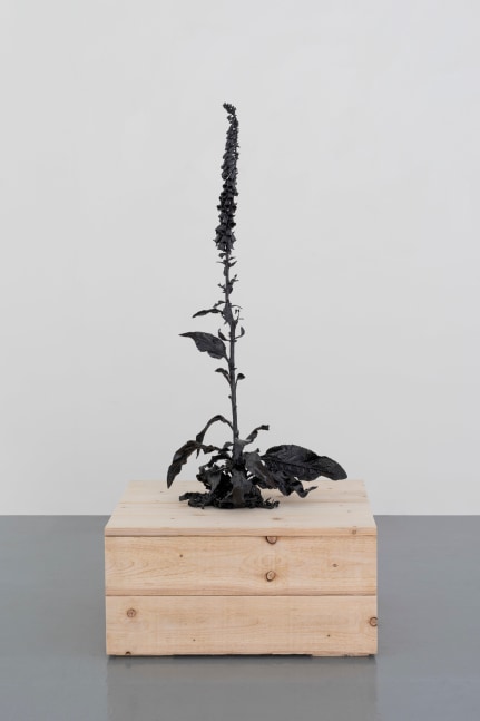 Dorothy Cross
Foxglove, 2024
cast bronze
125 x 58 x 43 cm / 49.2 x 22.8 x 16.9 in
39 x 79.5 x 64.5 cm / 15.4 x 31.3 x 25.4 in plinth