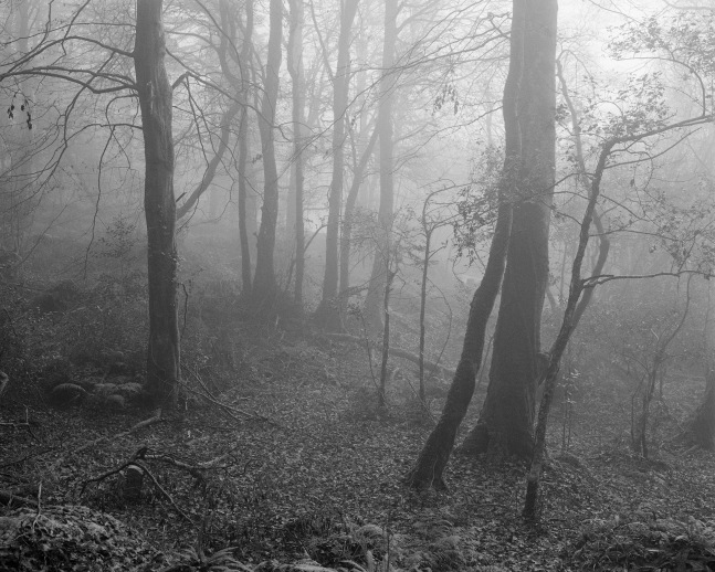 Willie Doherty&amp;nbsp;

Unknown, 2024

Pigment print on Hahnem&amp;uuml;hle Photo Rag Baryta 315gsm, edition of 3

109 x 135.5 cm / 42.9 x 53.3 in framed &amp;nbsp;