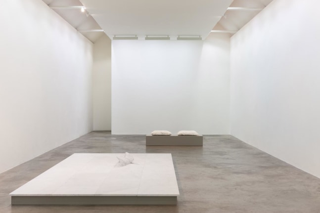 Dorothy Cross I dreamt I dwelt Kerlin Gallery 6 September - 19 October 2019