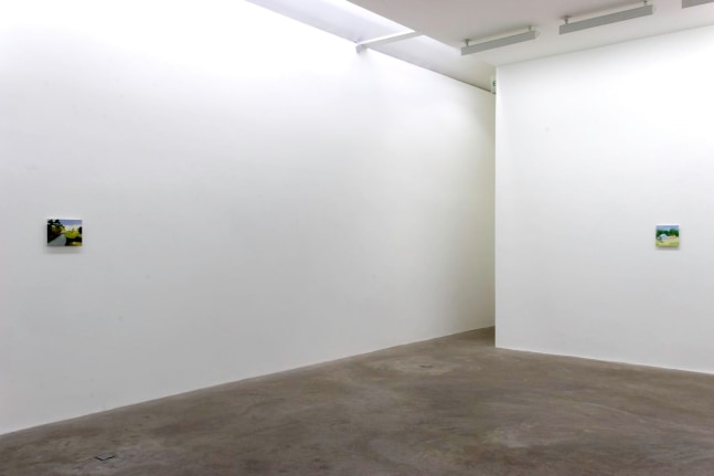 Maureen Gallace

New Paintings&amp;nbsp;

Kerlin Gallery, Dublin&amp;nbsp;

04 June - 02 July 2005