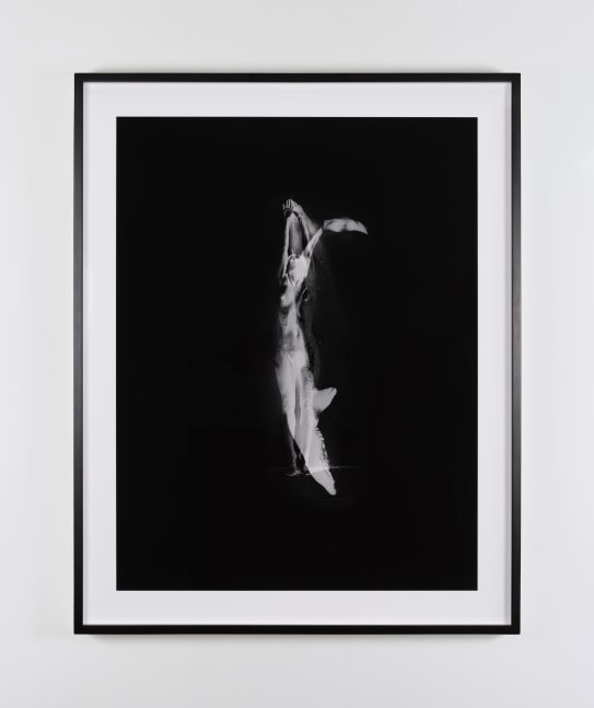 Dorothy Cross
Overlap (Merge),&amp;nbsp;1991
archival pigment print on Hahnem&amp;uuml;hle Photo Rag 308
edition of 4 + 2 AP
81 x 61 cm / 31.9 x 24 in image size
95 x 76 cm / 37.4 x 29.9 in framed size