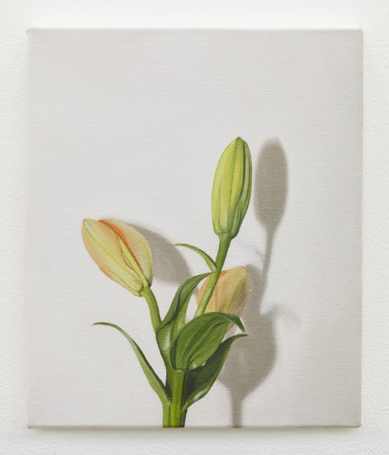 Marcel Vidal&amp;nbsp;
Lily, 2017
oil on linen
30 x 25 cm / 11.8 x 9.8 in&amp;nbsp; &amp;nbsp;

&amp;nbsp;