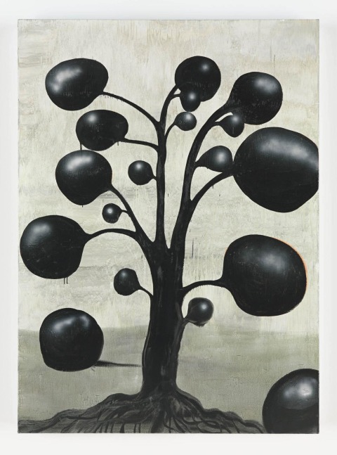 Norbert Schwontkowski  Fig tree