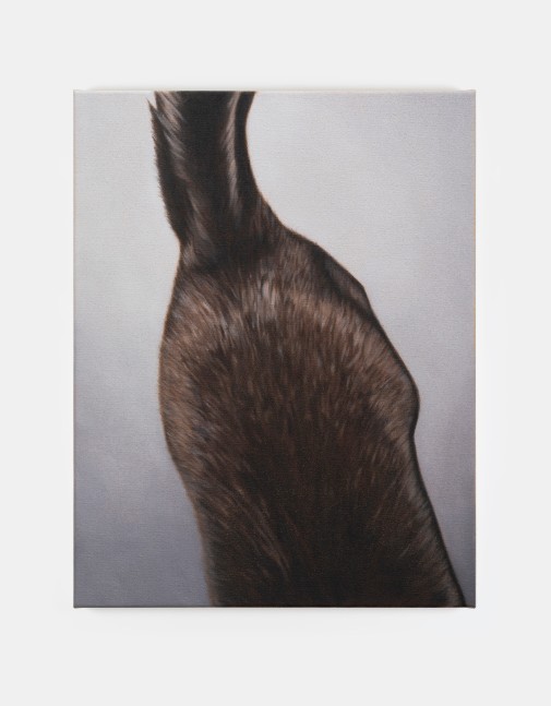 Marcel Vidal

Cat II,&amp;nbsp;2024

oil on linen

45 x 35 cm / 17.7 x 13.8 in