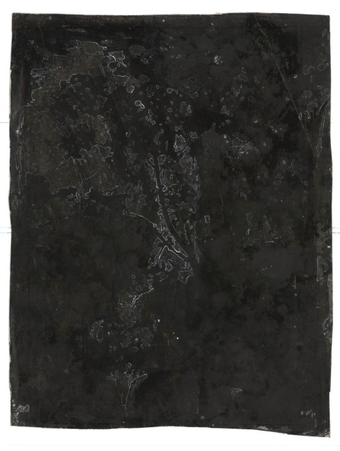 Kathy Prendergast, DARK WOODS # 6