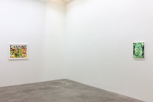 Eoin Mc Hugh,&amp;nbsp;Loje, jelo, laso, Kerlin Gallery, October 2019