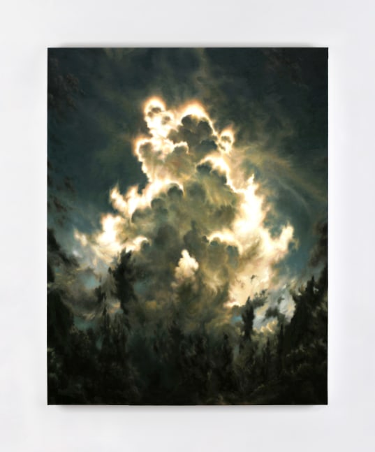 Eoin Mc Hugh&amp;nbsp;
transparency, 2013
oil on canvas mounted on aluminium panel
150 x 120 cm / 59.1 x 47.2 in&amp;nbsp; &amp;nbsp;