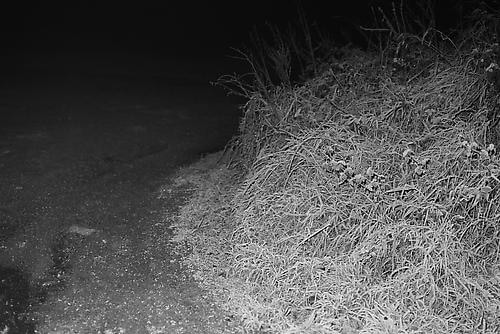 HOARFROST Unapproved Border Crossing