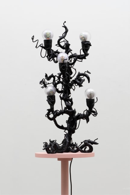 Tai Shani
Unresurrectable Biologies - Un-undead 1, 2022
Epoxy, glass, 3D prints, mohair sheepskin, electrics
80 x 50 cm / 31.5 x 19.7 in