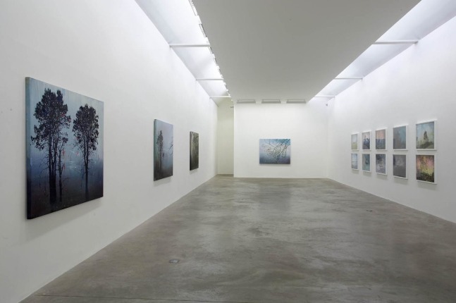 Elizabeth Magill, Arborescence, 1