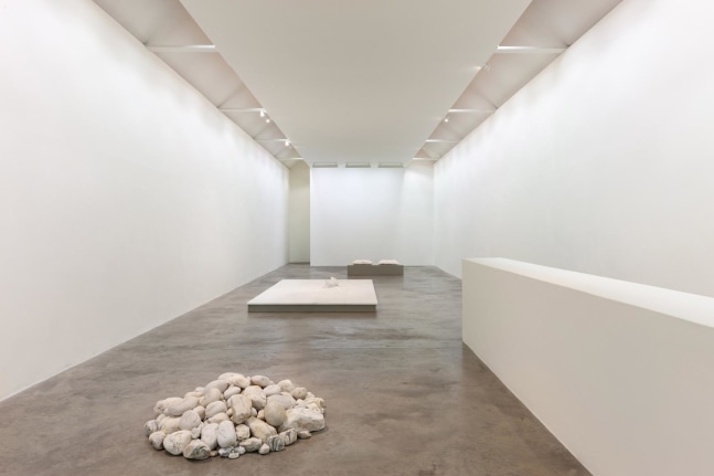 Dorothy Cross I dreamt I dwelt Kerlin Gallery 6 September - 19 October 2019