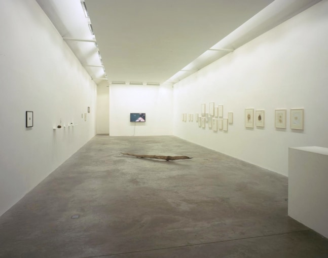 Dorothy Cross Salve Kerlin Gallery, Dublin 30 May - 29 June 2002
&amp;nbsp;