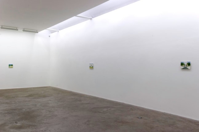 Maureen Gallace

New Paintings&amp;nbsp;

Kerlin Gallery, Dublin&amp;nbsp;

04 June - 02 July 2005