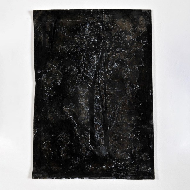 Kathy Prendergast, DARK WOODS,