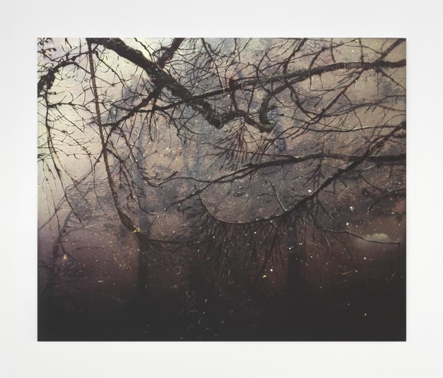 Elizabeth Magill, Rope