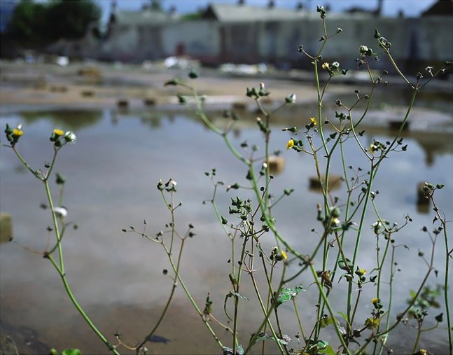 Willie Doherty  Wasteground 2007