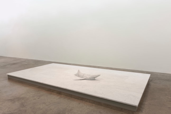 Dorothy&amp;nbsp; Cross&amp;nbsp;
ROOM, 2019
Carrara marble
24 x 240 x 480 cm / 9.4 x 94.5 x 189 in&amp;nbsp;