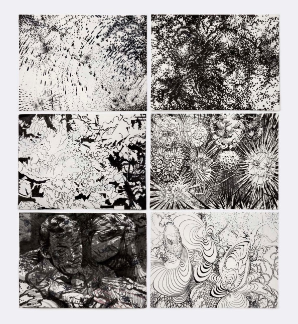 Eoin Mc Hugh
io, pp. 19-24,
pigment ink on paper six pages
15 x 20 cm / 5.9 x 7.9 in each