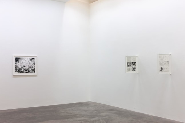 Eoin Mc Hugh,&amp;nbsp;Loje, jelo, laso, Kerlin Gallery, October 2019
