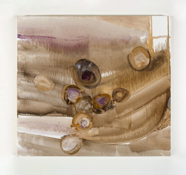 Barrie Cooke, Didymosphenia Geminata lll