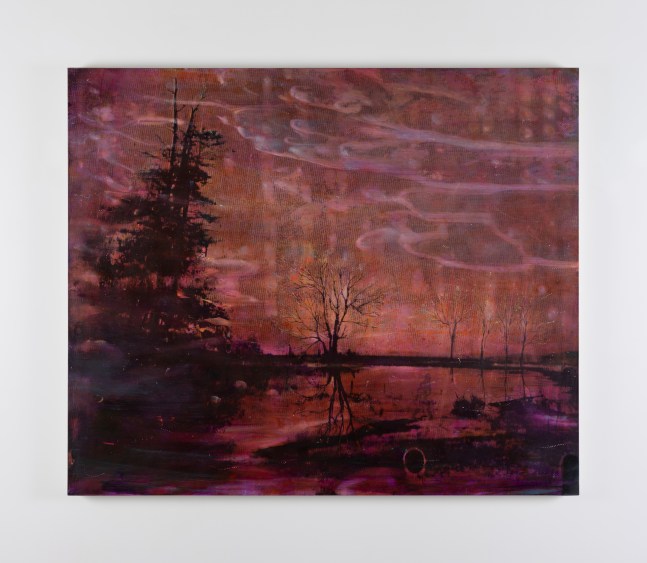 Elizabeth Magill
Outlying (2)
2021
mixed media on canvas
153 x 183 cm / 60.2 x 72 in &amp;nbsp;&amp;nbsp;