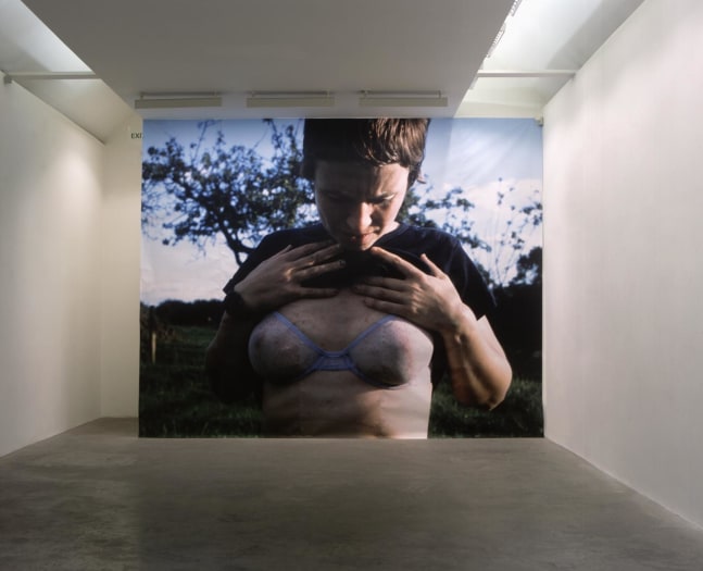 Phil Collins Bad Infinity Kerlin Gallery, Dublin 22 March - 20 April 2002
&amp;nbsp;