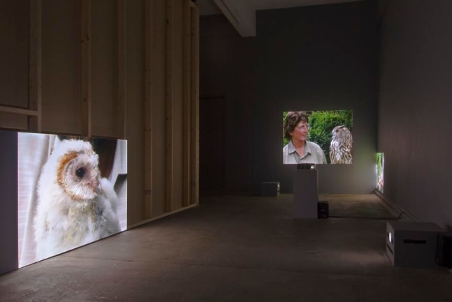 Jaki Irvine
In a World Like This, 2007
Chisenhale Gallery, London, UK