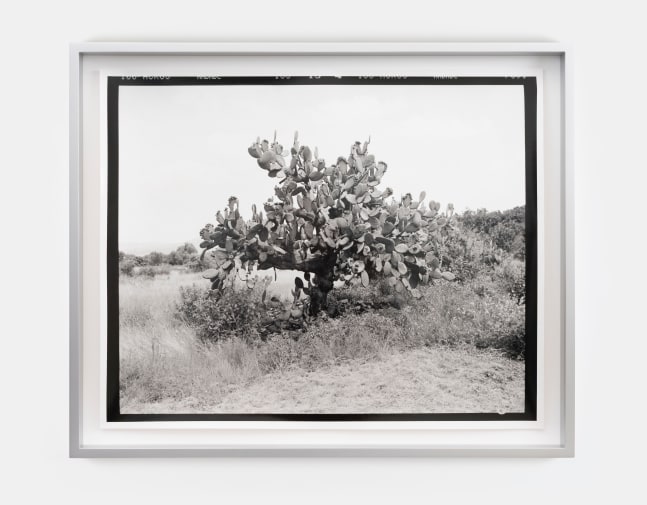 Gerard Byrne&amp;nbsp;
M7 / Roll 41 / Exp 07,&amp;nbsp;2008 - ongoing
hand-printed silver gelatin print, aluminium frame, edition of 3
38.6 x 47.8 cm / 15.2 x 18.8 in print size&amp;nbsp;
44 x 53.5 x 5 cm / 17.3 x 21.1 x 2 in framed