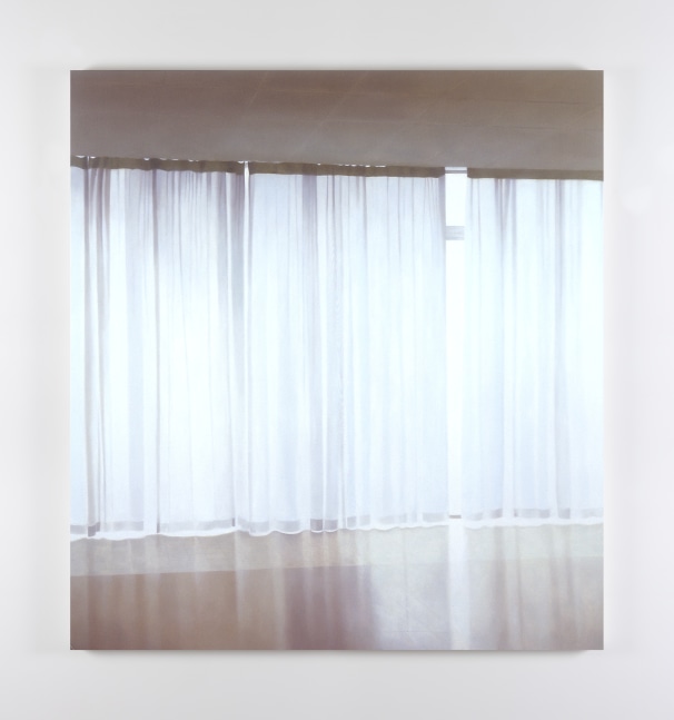 Paul Winstanley&amp;nbsp;
Veil 11, 2002
oil on linen
200 x 185 cm / 78.7 x 72.8 in&amp;nbsp; &amp;nbsp;
Collection of Irish Museum of Modern Art, Dublin