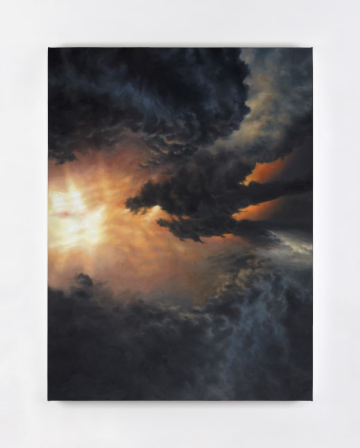 Eoin Mc Hugh&amp;nbsp;
Common coding, 2015
oil on canvas mounted on aluminium
76.5 x 57 cm / 30.1 x 22.4 in&amp;nbsp; &amp;nbsp;
Collection of The Tia Collection, Santa Fe

&amp;nbsp;