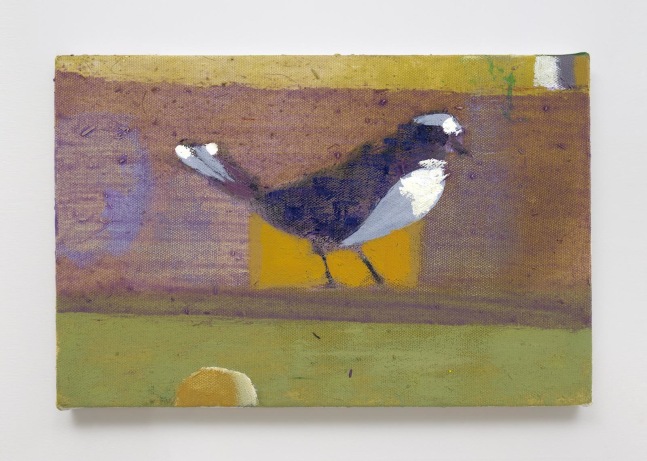 Merlin James, Bird (small)