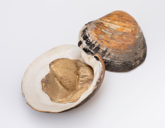 Dorothy Cross&amp;nbsp;
Clam (with tongue...),&amp;nbsp;2003
two clam shells, cast gold&amp;nbsp;
3.5 x 10 x 10 cm /1.4 x 3.9 x 3.9 in and&amp;nbsp;4 x 10 x 10 cm / 1.6 x 3.9 x 3.9 in