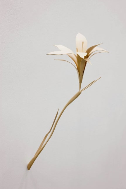 Mark Garry  And time : Blue Eyed Grass 3