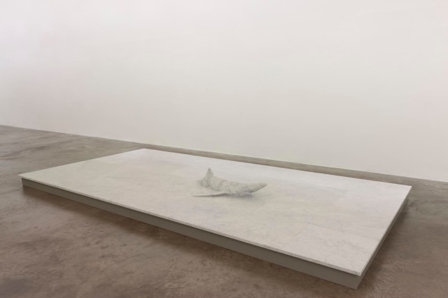 Dorothy Cross
ROOM, 2019
Carrara marble&amp;nbsp;
24 x 240 x 480 cm / 9.4 x 94.5 x 189 in&amp;nbsp;