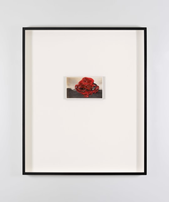 Ailbhe N&amp;iacute; Bhriain&amp;nbsp;
Untitled (seal), 2023
found photograph, acrylic, stained walnut frame with museum glass, unique, framed
56 x 47 x 4 cm / 22 x 18.5 x 1.6 in