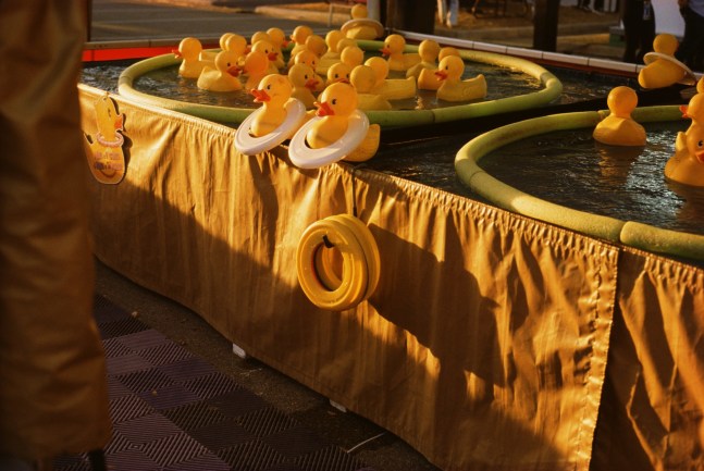 Image of rubber duckies and rings in golden light by Mickey Aloisio