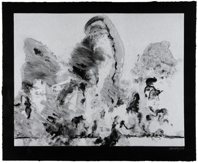 Wall of water 17, 2014

monotype

22 5/16 x 27 5/16 in. / 56.8 x 69.4 cm